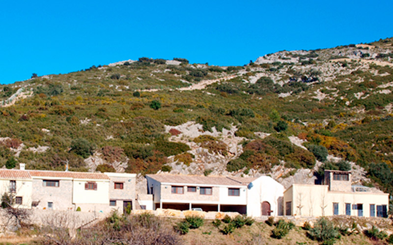 Caceria en la sierra de Cádiz